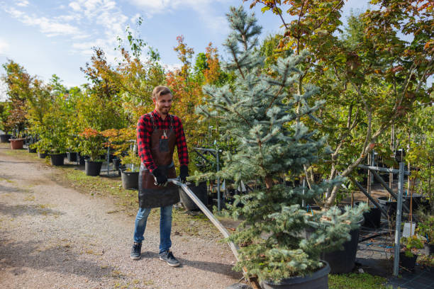 Best Tree Planting Service  in Kent Acres, DE